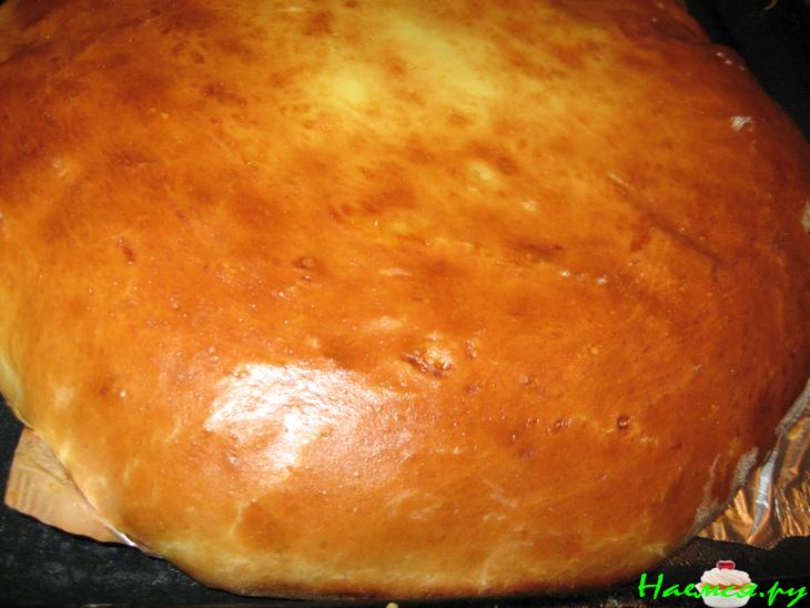 Пирог с творогом и изюмом (дрожжевое тесто с медом)