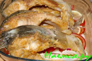 Звезда ужина - Карп зеркальный