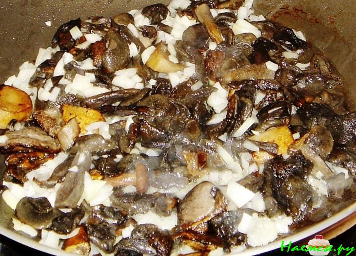 Жульен грибной обычный