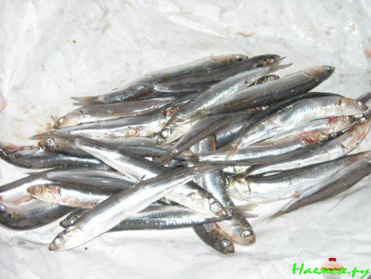 Pasta con aliciе "Паста с анчоусами"