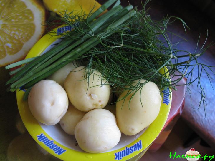 Молодой картофель с зеленью (два варианта)