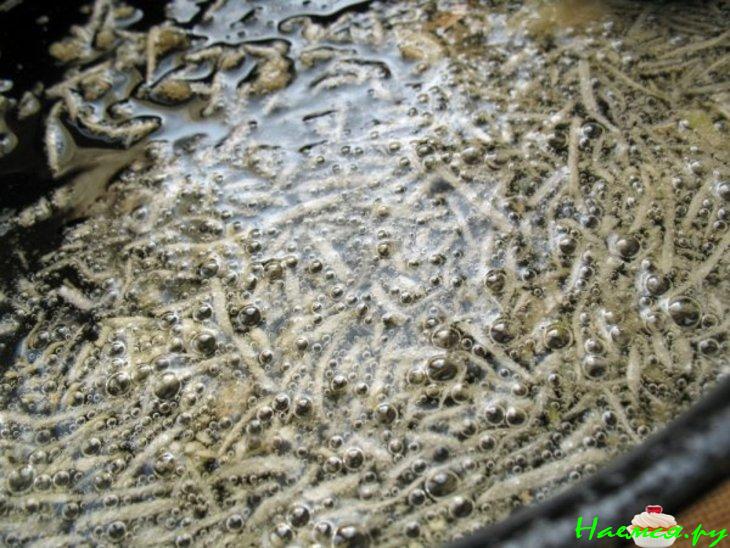 Баклажаны "Божьи коровки"