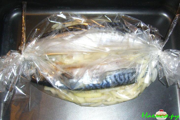 Скумбрия в рукаве на луковой подушке