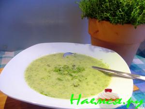 Зеленый суп-крем "В ожидании весны" Зеленый суп-крем "В ожидании весны"