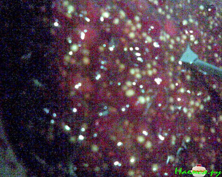 Куриный окорочок и рыбка в рубиновом маринаде 