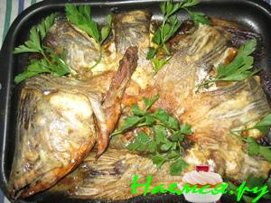 Горбуша на прогулке