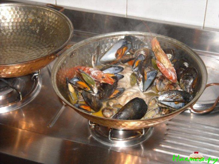 Моллюски в Катаплане