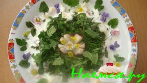 Дикая окрошка