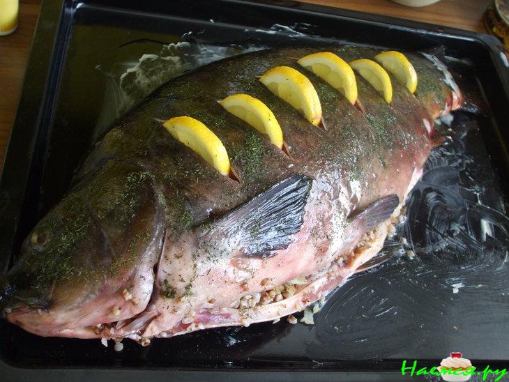 Карп фаршированный гречкой и шампиньонами