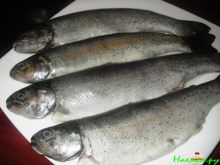 Форель запеченная с козьим сыром и зеленью