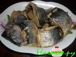 Сельдь в масле Сельдь в масле