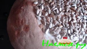 Хлебушек-подсолнушек