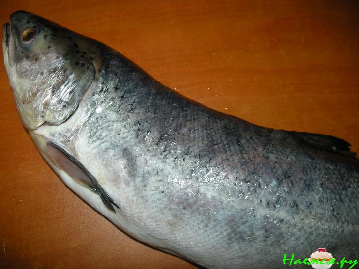 Печеная сёмга с черри и базиликом