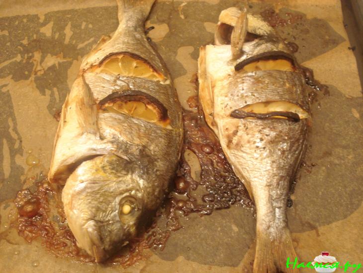 Ципура (окунь) запечённая