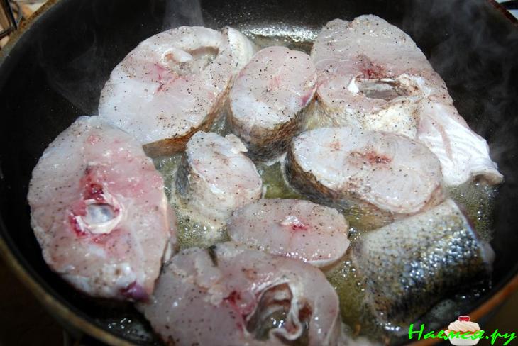 Судак от SCORPY Судак от SCORPY