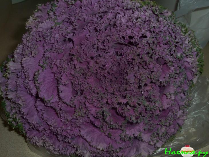 Салат "Моя фантазия" Салат "Моя фантазия"