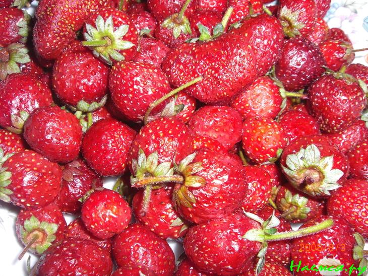 Корейско-Китайско-Японская дружба. День рисовой лапши