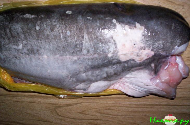 "Сом Воздушный" "Сом Воздушный"