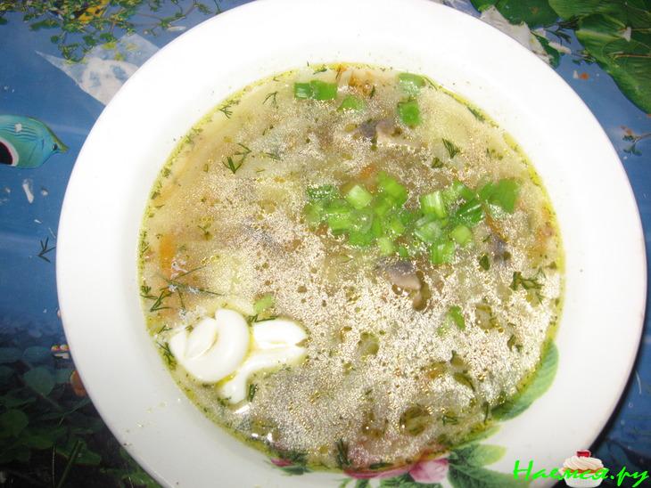 Щи сборные с грибами и гречневой крупой