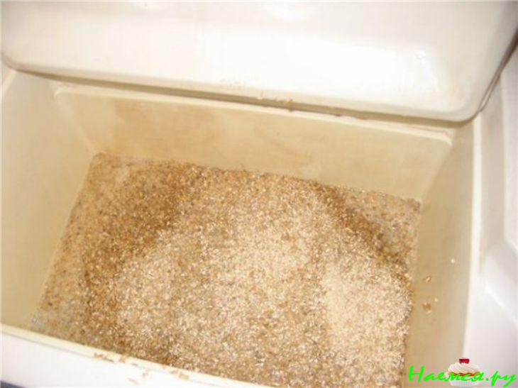 Домашнее пиво