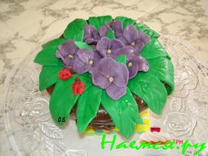 Торт "Горшочек с фиалками" Торт "Горшочек с фиалками"