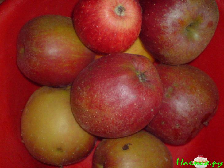 Яблочно-фисташковый торт без выпечки