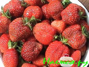 Удачный завтрак Удачный завтрак