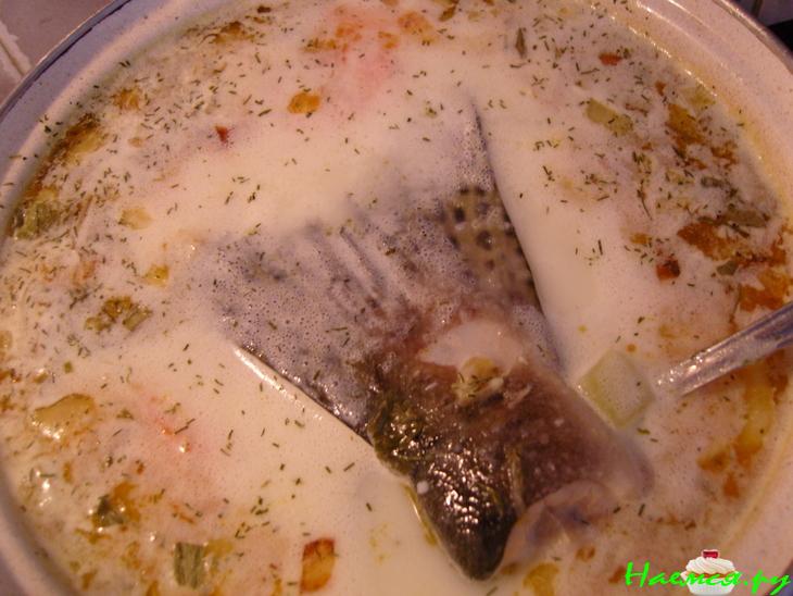 Тайский суп с лососем и кокосом