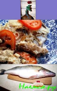 Судак от SCORPY Судак от SCORPY