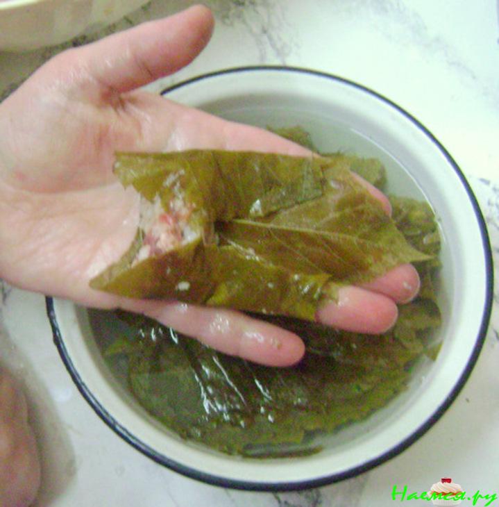 Долма с чесночком Долма с чесночком