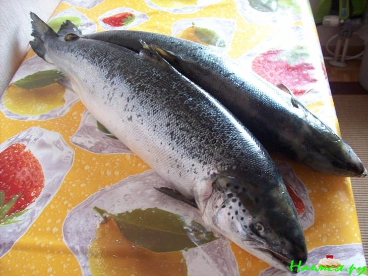 Крем-суп рыбный