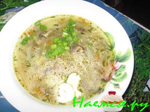 Щи сборные с грибами и гречневой крупой