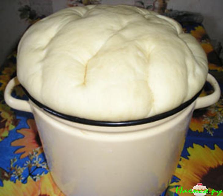 Плюшка 'Московская'