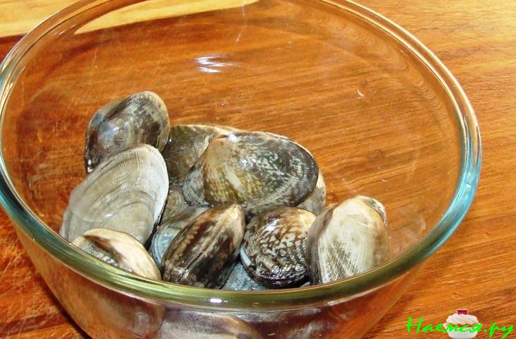 Морские ракушки