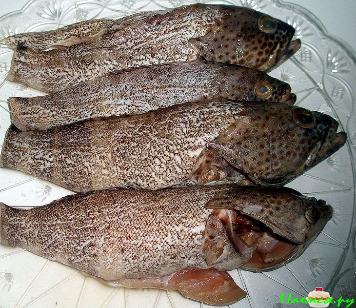 Рыба с помидорами черри и маслинами запеченная в духовке