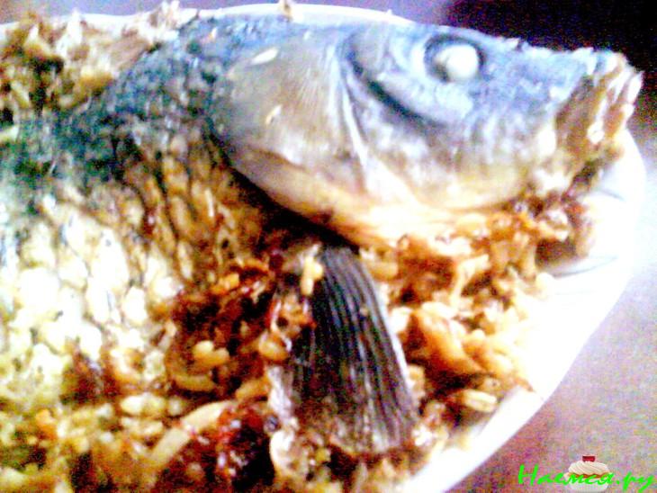 Карп "книжный" на подстилке из квашеной капусты