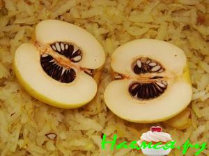 Песнь хеномелеса Песнь хеномелеса