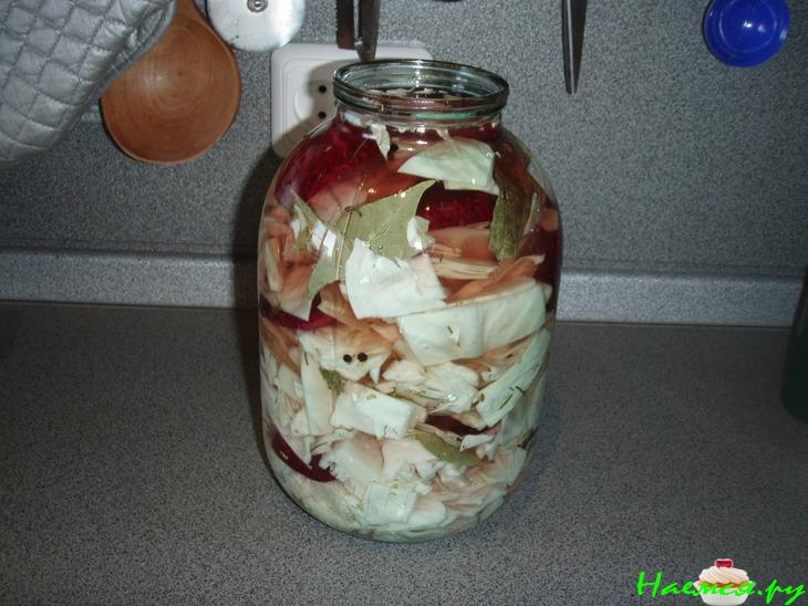 Славная капустка за 5 дней!