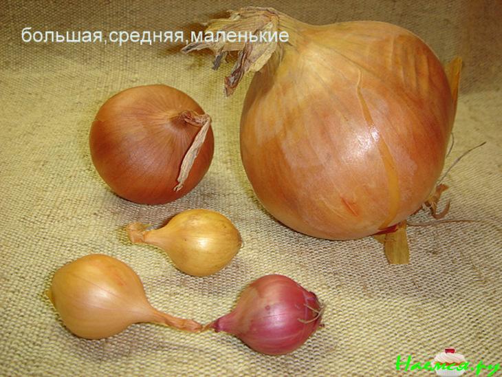 Маринованный лук