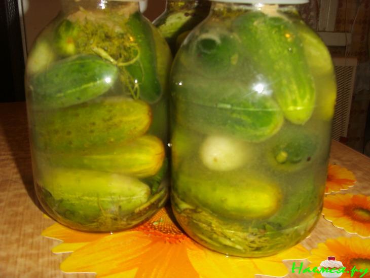 Огурцы соленые "Проще простого" (вариант)
