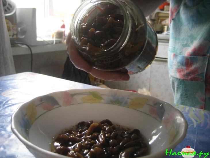 Маринованные опята с зернами горчицы Маринованные опята с зернами горчицы