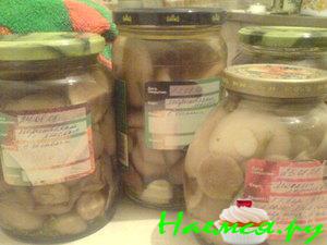 Маринованные маслята