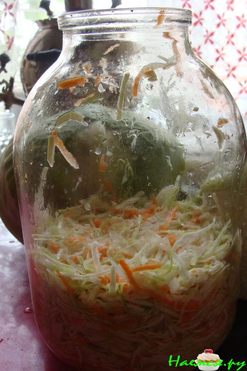 Капуста "Быстрая"