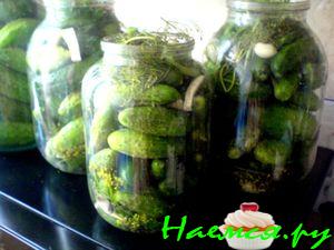 Огурцы для всей семьи 