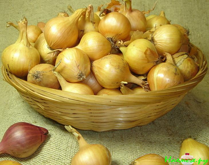Маринованный лук