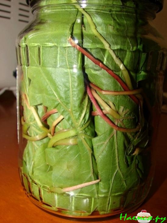 Заготовка для долмы (без воды)