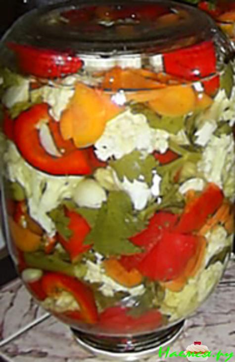 Царская турша (Царска туршия)