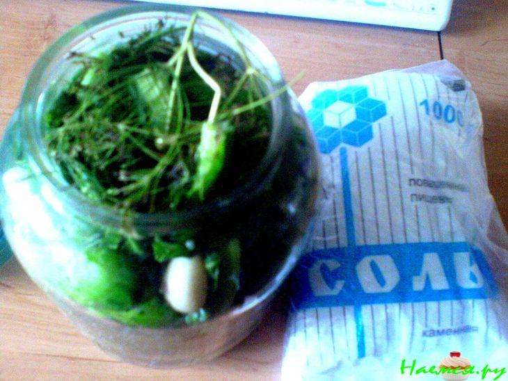 Огурцы для всей семьи 