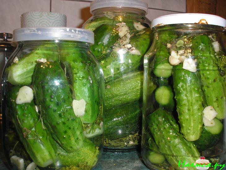 Солёные огурцы в банках