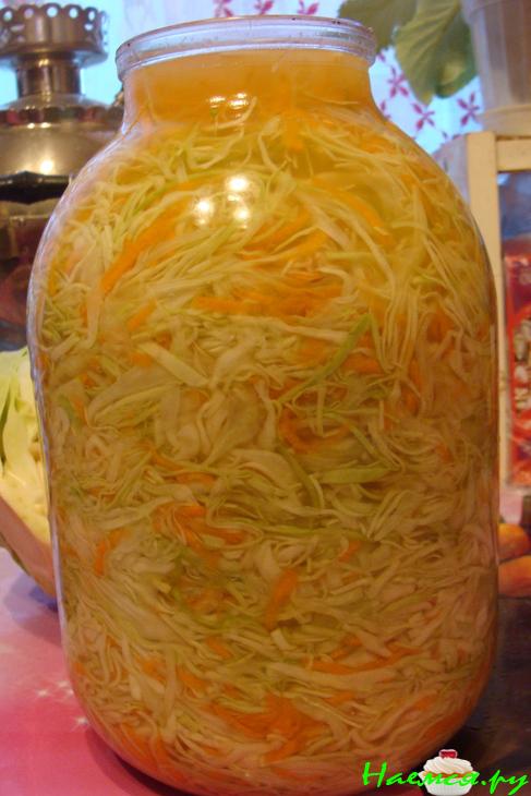 Капуста "Быстрая"